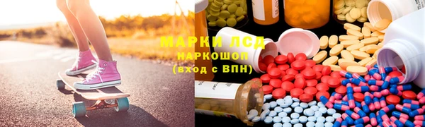 прущие грибы Ростов